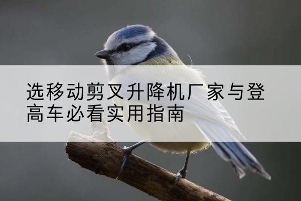 泽普电动升降机厂家-选移动剪叉升降机厂家与登高车必看实用指南