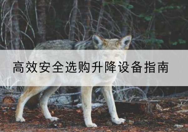 泽普升降货梯厂家推荐-*安全选购升降设备指南