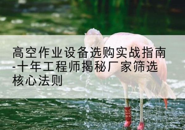 泽普剪叉式升降机厂家-高空作业设备选购实战指南-十年工程师揭秘厂家筛选核心法则